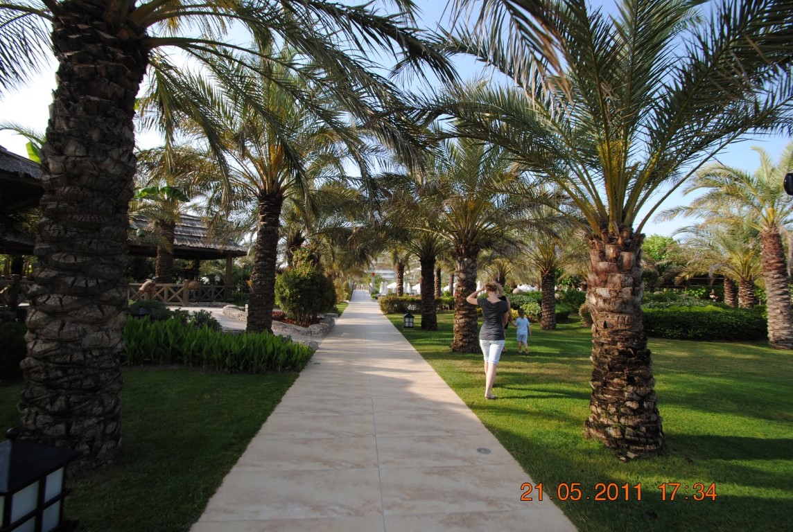 imagini hotel ROYAL WINGS LARA